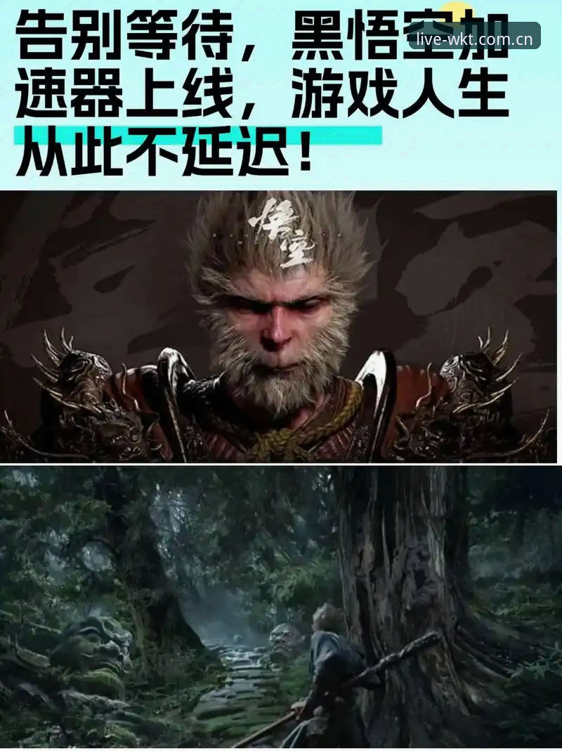 悟空体育实时数据官方下载深度评测：从安装到观赛的全流程体验报告